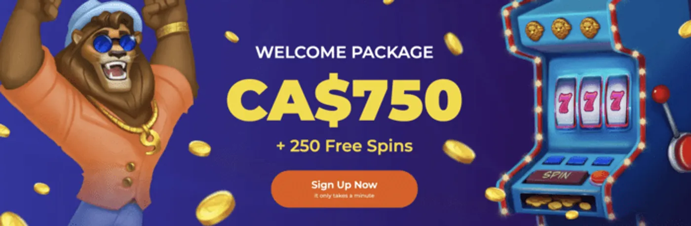 6292bet